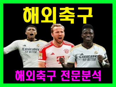 6월 07일 월드컵 예선전 노르웨이 vs 이탈리아 안구정화 그림