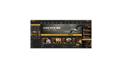 트로스 먹튀 확정