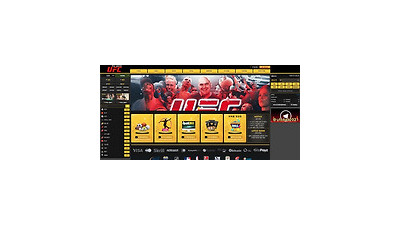 UFC 먹튀 확정