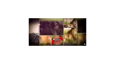 주벳 먹튀 먹튀사이트 확정 먹튀검증 토토군 완료